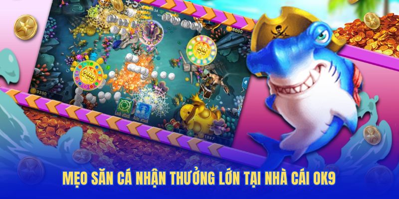 Mẹo săn cá nhận thưởng lớn tại nhà cái OK9
